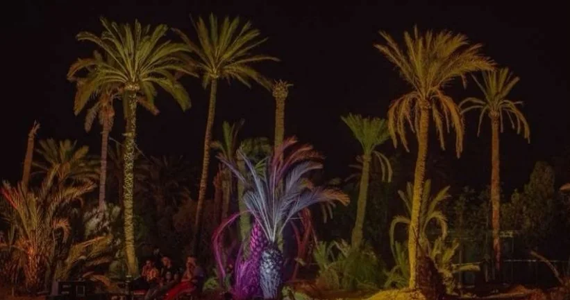 Palmiers et jardins illuminés de nuit